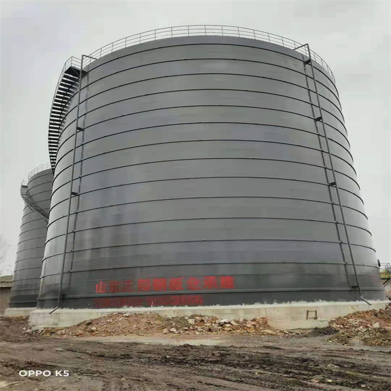 西沙3万吨大型钢板库